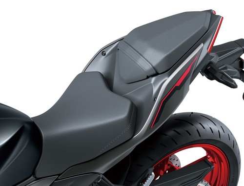 Kawasaki 500 ninja - 500, se